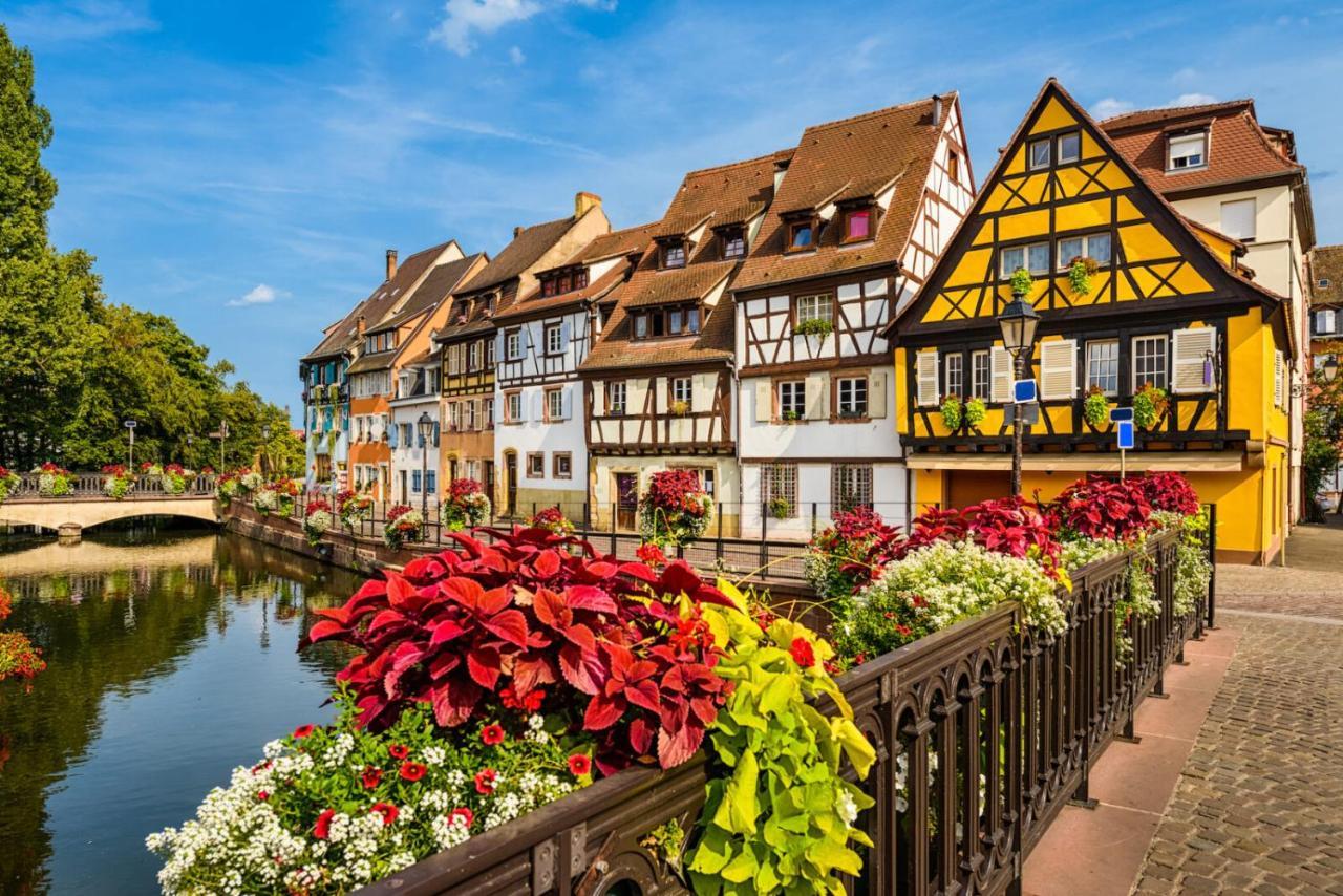 Appartement Orchidees Proche Centre Ville Colmar Exteriér fotografie